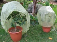 Bitki Koruma Örtüsü Nelerdir?