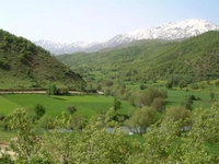 Doğu Anadolu Bölgesi Bitki Örtüsü Türleri ve Özellikleri