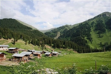 Marmara Bölgesi Bitki Örtüsü Özellikleri